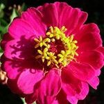 Nancy Joyce Ayers - @ayersnej - Instagram