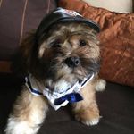 Joyce Babcock - @joyce.babcock.37 - Instagram