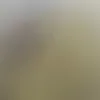 Jayce Bachmann - @jaycebachmann - TikTok