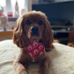 Joyce Badger - @badgerjoyce - Instagram