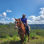 Joyce Balog - @joycebalog - Instagram