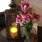 Joyce Barber - @joycebarber77 - Instagram