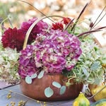 Joyce Barham - @barham4420 - Instagram