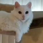 joyce barnhart - @barnhart.joyce - Instagram