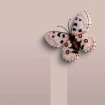 Joyce Barrera - Facebook