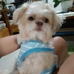Joyce Barrot Barrera - @joyce.barrot - Instagram
