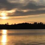 Joyce Barth - @barthjoyce - Instagram