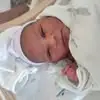 shalawnjoycebarth - @shalawnjoycebarth - TikTok