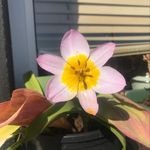 Joyce Bates - @joycebates573 - Instagram