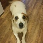 Joyce Bates - @joyce.bates - Instagram