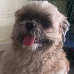 Joyce Bautista - @joyce_bautista - Instagram