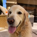 Joyce Beaman-Zimmerman - @singnmama - Instagram