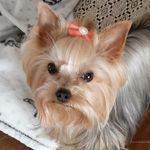 Joyce Bean - @joycebean47 - Instagram
