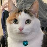 Joyce Bean - @joybitebean - Instagram