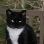 Joyce Bearden - @joycebearden - Instagram