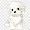 Joyce Becerra385 - @joycebecerra0 - TikTok