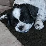 Joyce Becker - @joycebecker2307 - Instagram