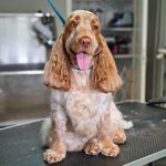 Joyce Beckman - @joyce.beckman.5 - Instagram