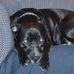 Joyce Benjamin - Facebook