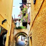 Joyce Berrier - @joyce_berrier - Instagram
