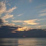 Joyce Haines Bertram - @bertramjoyce - Instagram