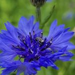 Joyce Betts - @jbgj26 - Instagram