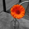 joycebetts34 - @joycebetts34 - TikTok