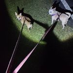 Joyce Biggs - @marie.d.briggs - Instagram