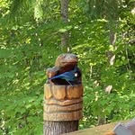 Joyce Bilodeau - @bilodeau5511 - Instagram
