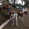Joyce Blanco - @joyce.blanco46 - TikTok