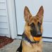Joyce Cowan Blaney - Facebook