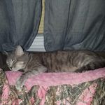Joyce Blank - @joyce_blank2002 - Instagram