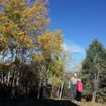 Joyce Boatwright Fay - @joyceboatwright - Instagram