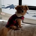 Joyce Bostwick - @bostwickjoyce - Instagram