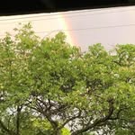 Joyce Marie - @joycebostwick - Instagram
