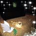 Joyce Boykin - Facebook