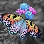 Joyce Boykin-Lewis - @boykinlewisjoyce - Instagram