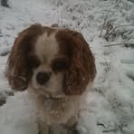 Joyce Bramble - Facebook