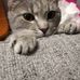 Joyce Bratcher - Facebook