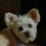 mariabridgewater - @joycebridgewater2004 - Instagram