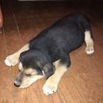 joycebrubaker2@gmail.com - @joycebrubaker2 - Instagram