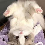 Joyce Buist - @joycebuist - Instagram