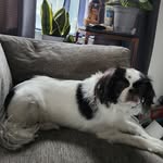 Joyce Burnside Wilson - @joyceburnsidewilson - Instagram