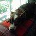 Joyce Burrow - Facebook