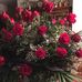 Joyce Burrow - Facebook