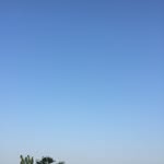 cai - @joyce_cai_ - Instagram
