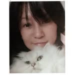 Joyce Cai - @joysky000 - Instagram