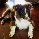 Joyce Callan - @callanjoyce - Instagram