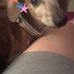 Joyce Callan - Facebook