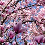 Joyce Camden - @jflcamden - Instagram